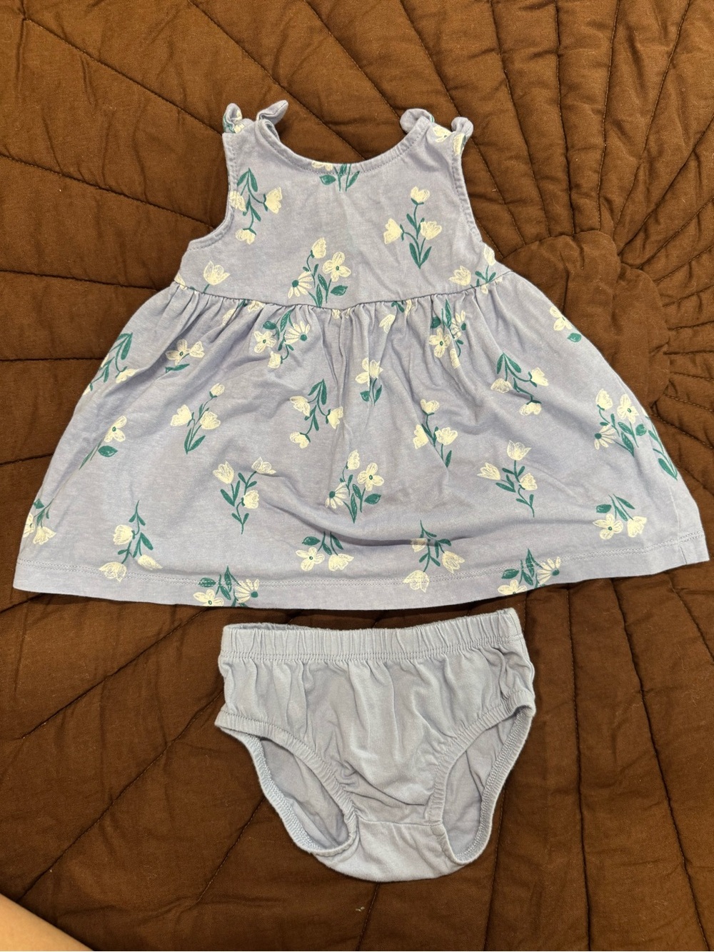 Carter's Light Blue Floral Dress with Matching Bloomers